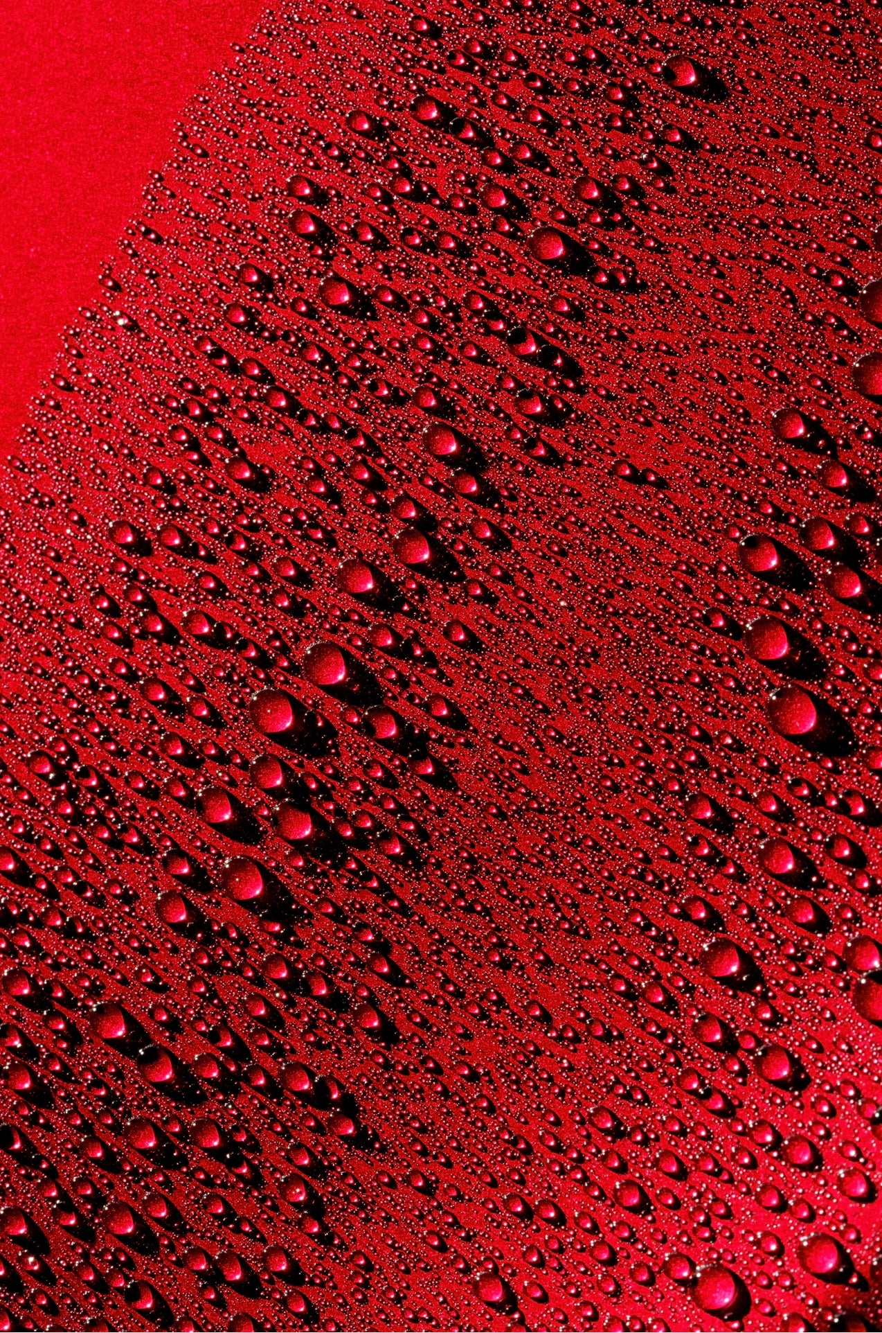 Fireball Pirouette Ceramic sealant 500ml